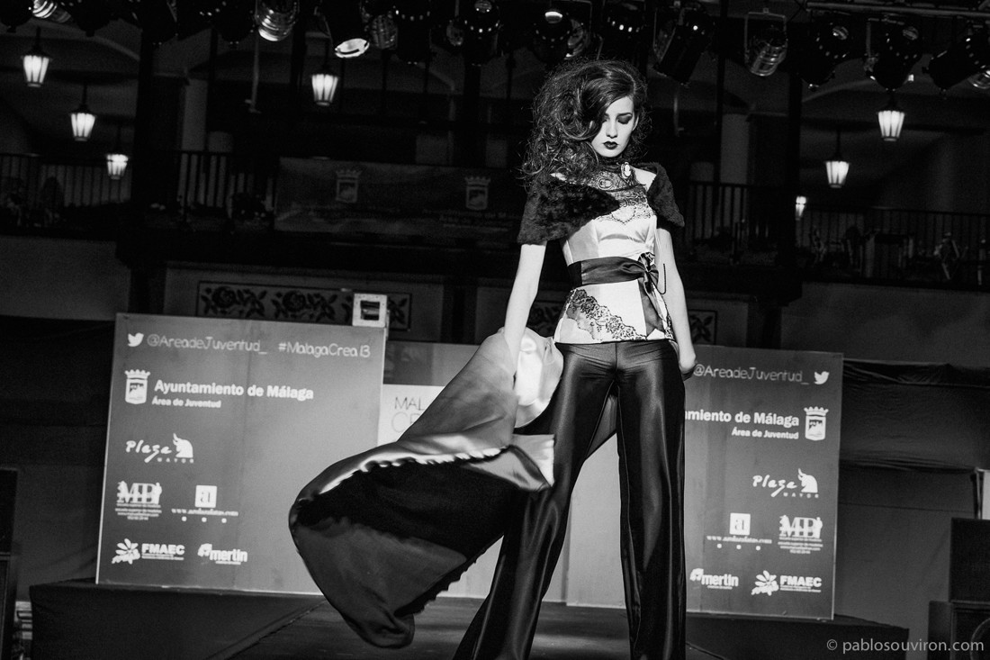 12042013-_89C8940-Editar Blog